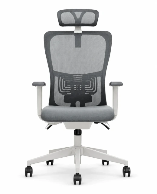 Lumbar Plus Vip Yönetici Koltuğu kapak görseli