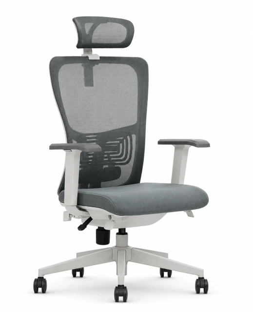 Lumbar Plus Vip Yönetici Koltuğu ürün görseli 2