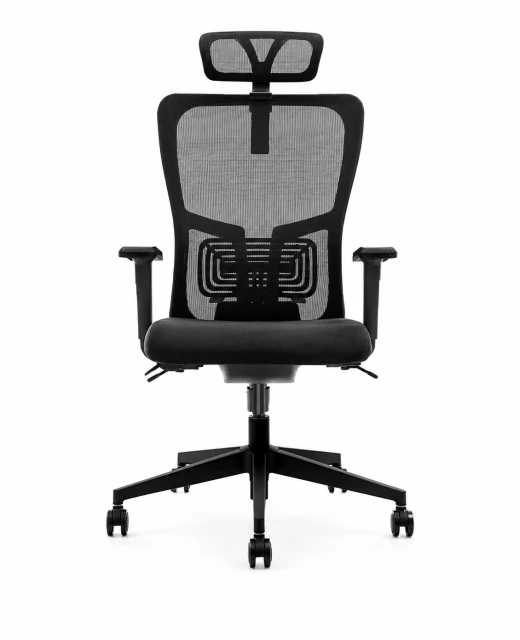 Lumbar Vip Yönetici Koltuğu kapak görseli