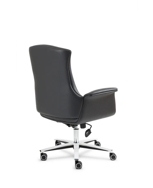 Throne Çalışma Koltuğu ürün görseli 1