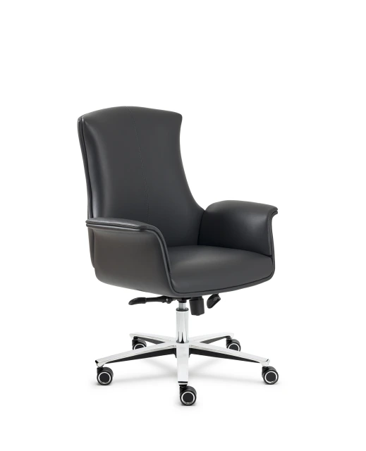 Throne Çalışma Koltuğu ürün görseli 3