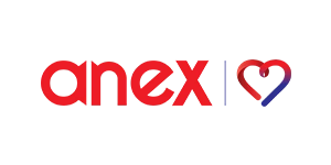 Anex Grup logosu
