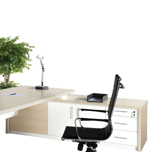 Walk CEO Yönetici Seti ürün görseli 4
