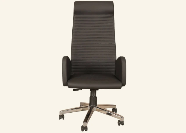 Netha Ofis Koltukları ürün görseli 1