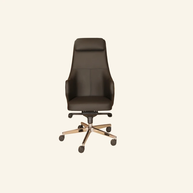 Prime Ofis Koltukları ürün görseli 1